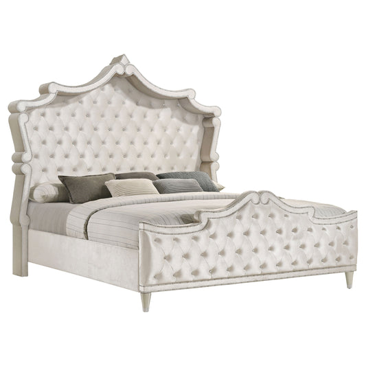 Antonella Upholstered Tufted  Bed Ivory and Camel