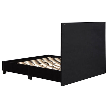 Hailey Upholstered Tufted Platform  Bed Black