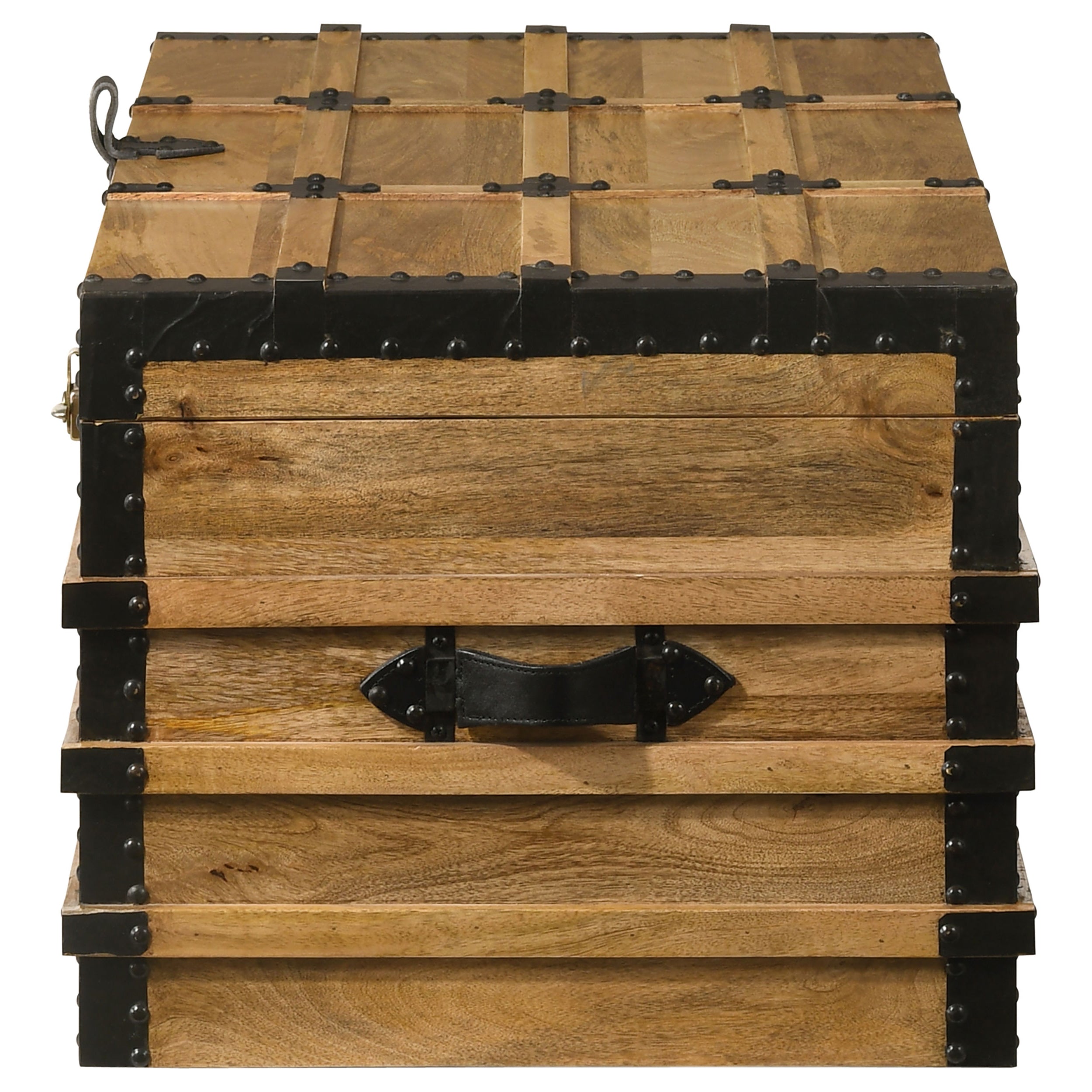 Simmons Rectangular Storage Trunk Natural and Black