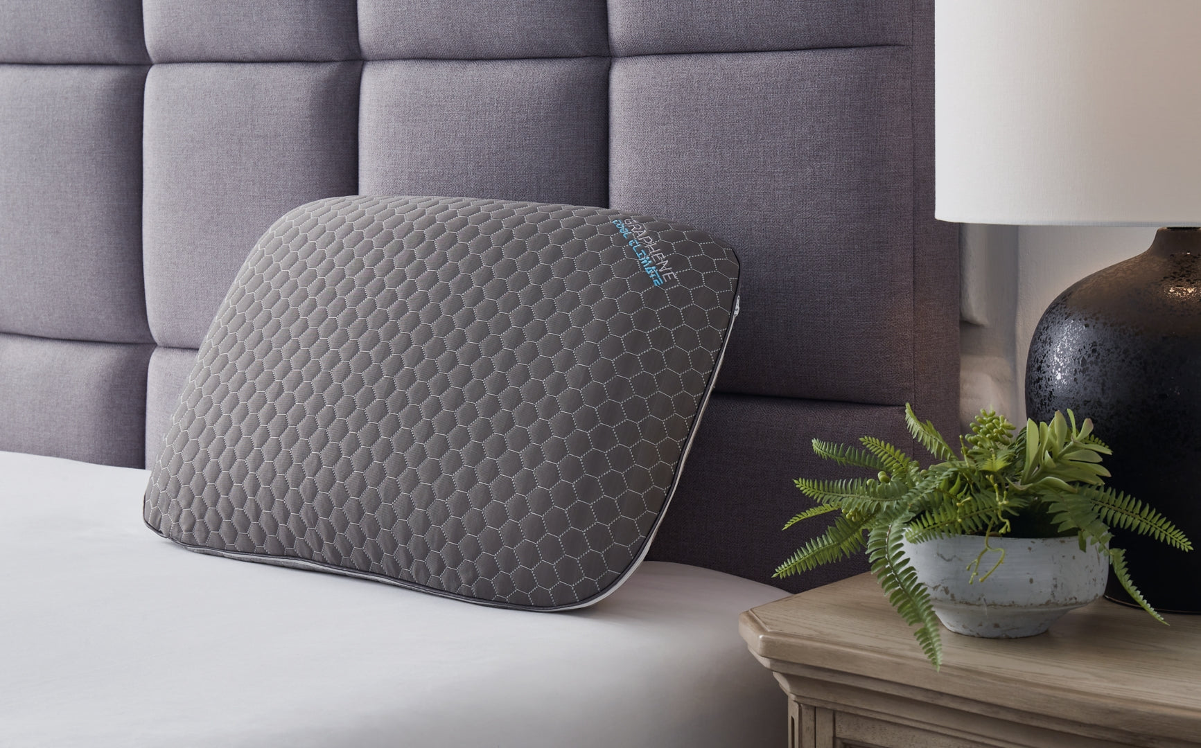 Zephyr 2.0 Graphene Contour Pillow (6/CS)