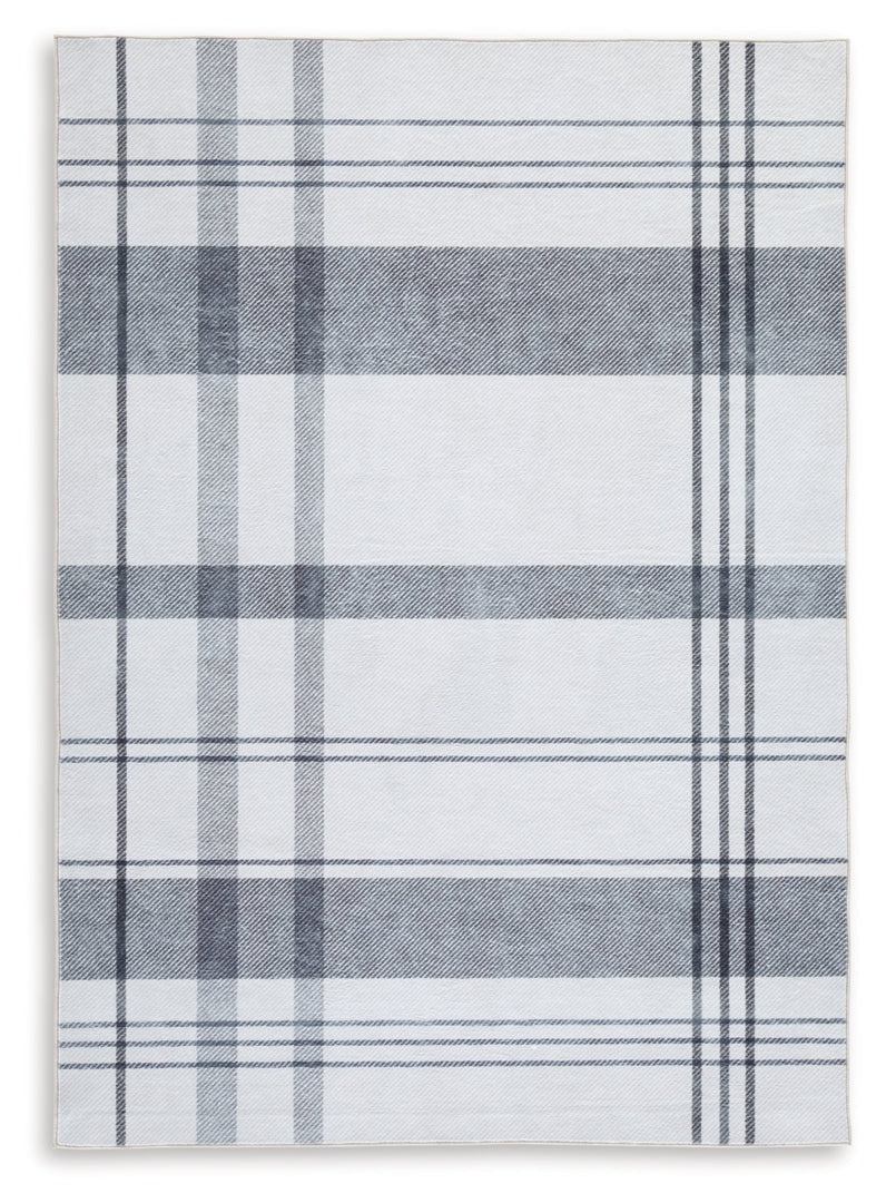 Kaidlow Washable Medium Rug